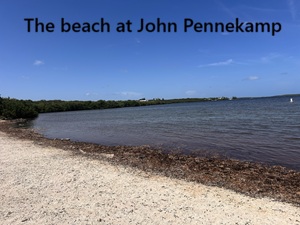 John Pennekamp beach