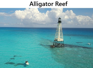 Alligator Reef