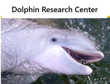 Dolphin Research Center 