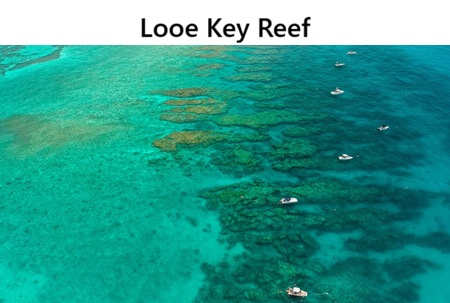 Looe Key Reef
