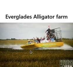 Everglades Alligator farm 