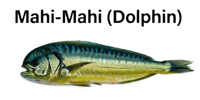 Mahi-Mahi (Dolphin) 