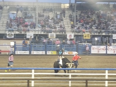 Cody rodeo