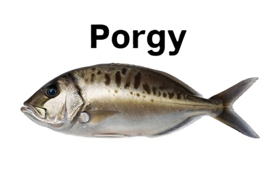 Porgy