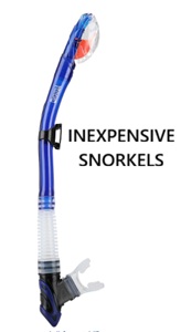 Inexpensive snorkel